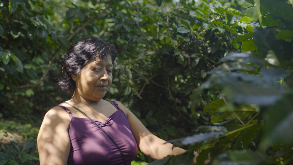 Mujer en una plantación de café
