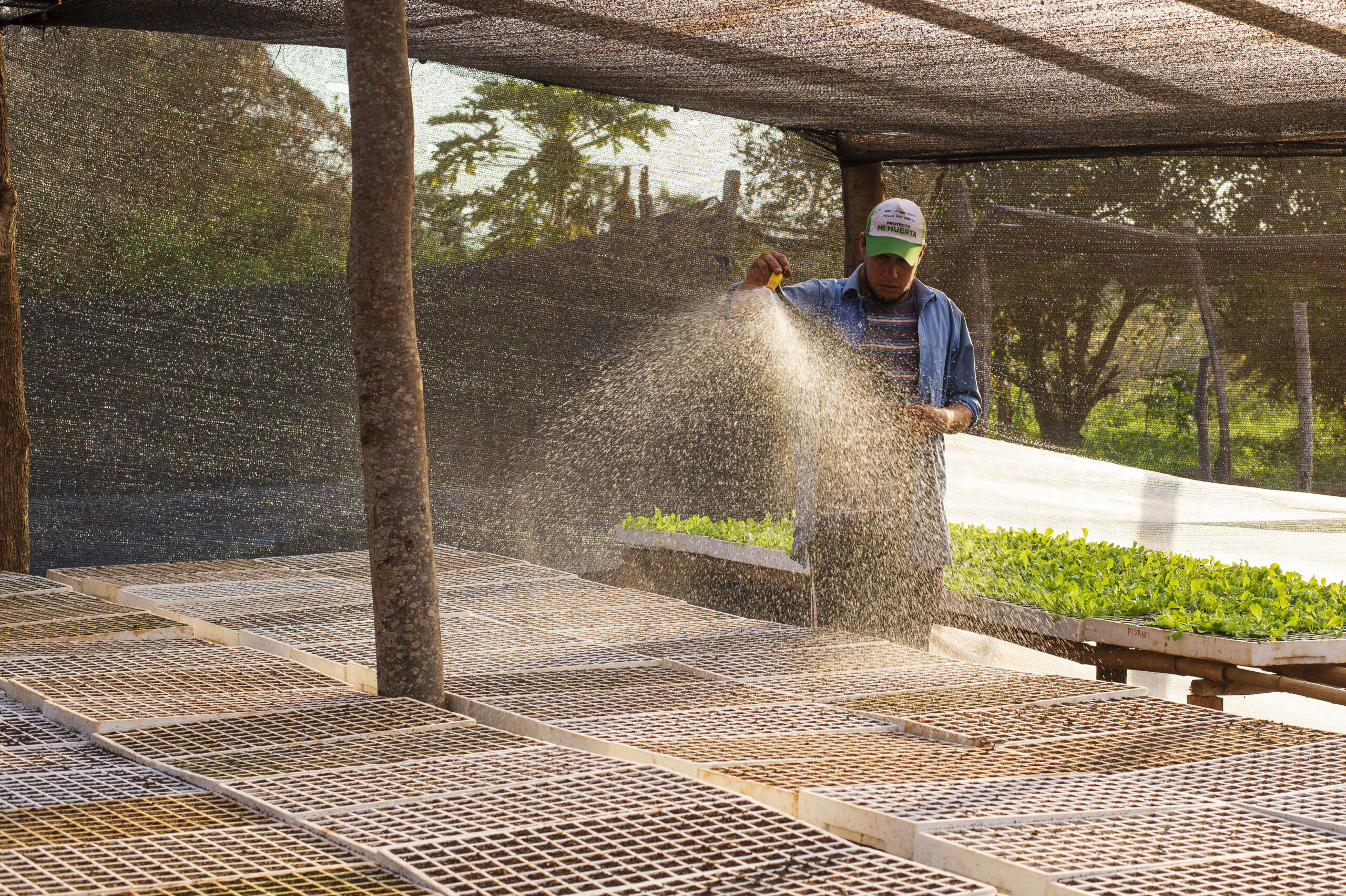 CulTI Agricultura Regenerativa en Paraguay