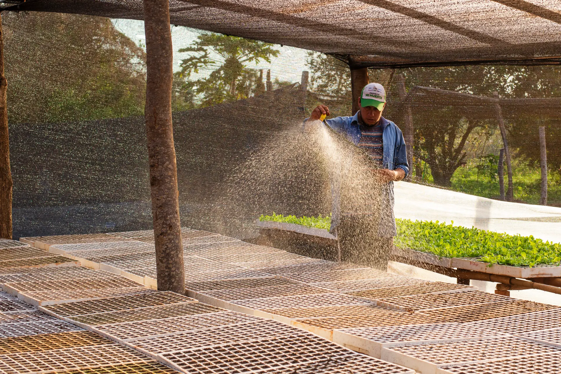 CulTI Agricultura Regenerativa en Paraguay
